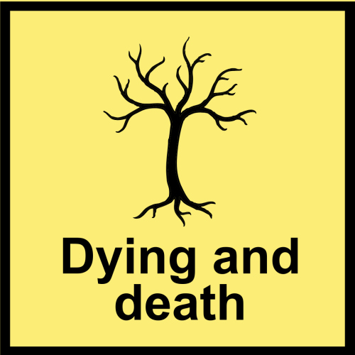 Dying and death